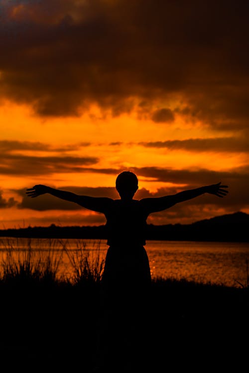 Free Silhouette Of Person Standing On Grass Field During Sunset Stock Photo