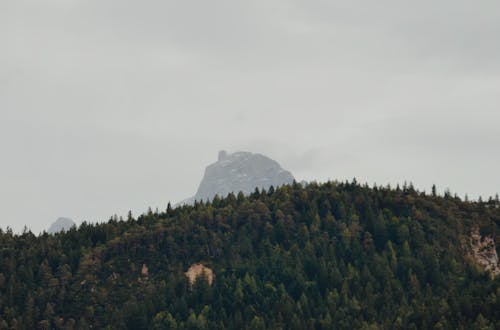 Green Trees On Mountain Under Foggy Sky