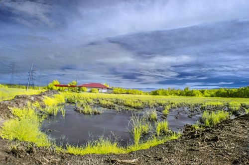 Free stock photo of agriculture, dramatic sky, infrared photography Stock Photo