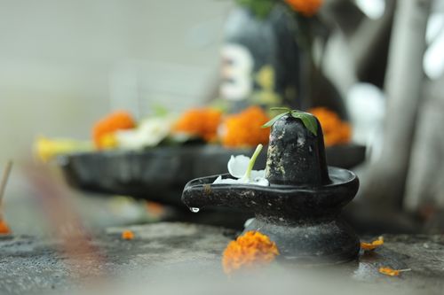 Free A detailed view of a Shivling adorned with flowers and leaves, symbolizing spiritual rituals in India. Stock Photo