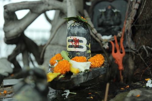 Free A sacred Shiva Lingam with marigold offerings in a temple setting in Raipur, India. Stock Photo