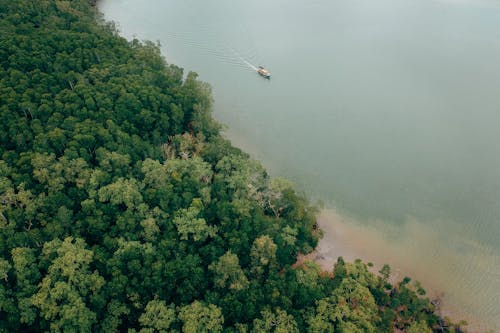 Darmowe zdjęcie z galerii z dron, drzewa, jezioro