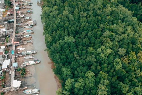 Free Aerial photograph showcasing boats docked along a river beside a lush green forest. Stock Photo