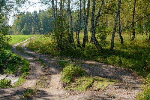 Free Discover tranquility on this sunlit path winding through a peaceful autumn forest. Stock Photo