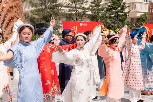 Free A vibrant outdoor dance performance with people in traditional Vietnamese attire. Stock Photo