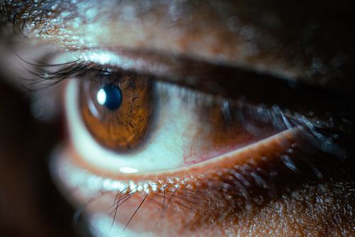 Free Macro photograph showcasing the intricate details and colors of a human eye revealing the iris texture. Stock Photo