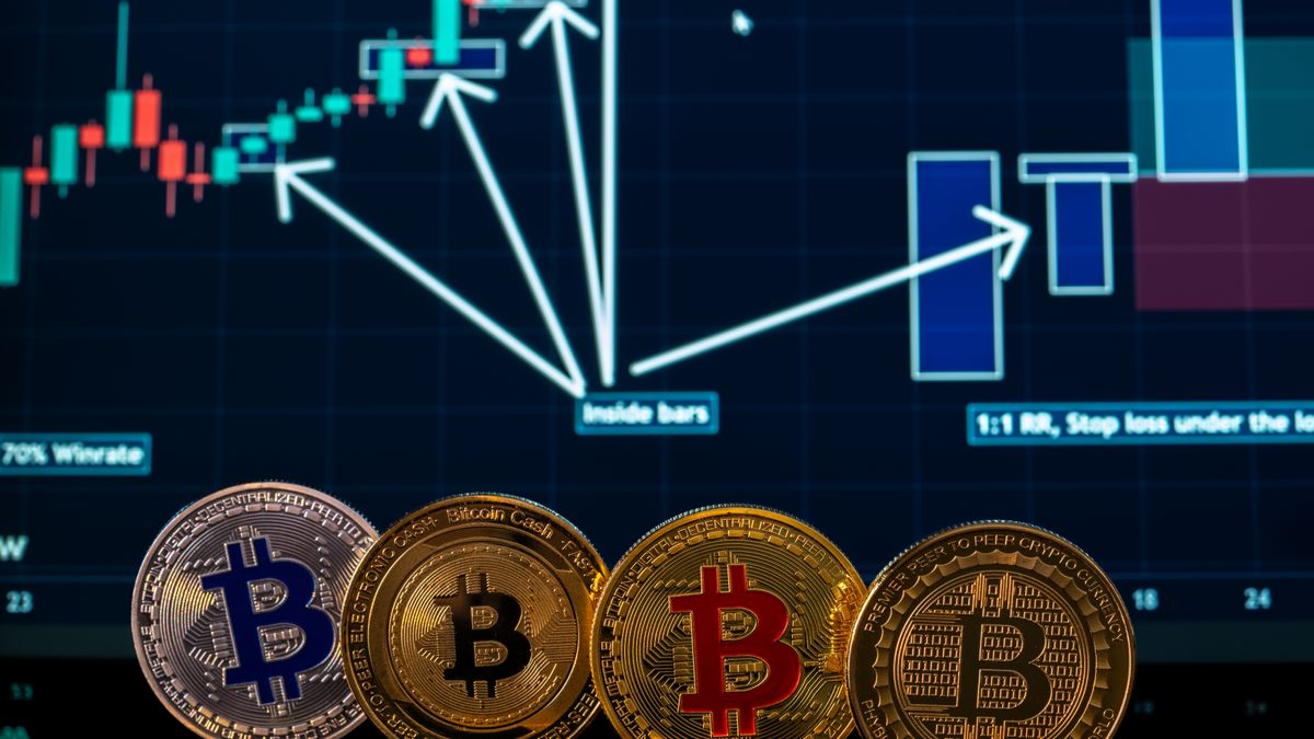 Cryptomonnaies et diversité des actifs numériques - illustration