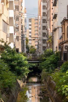 Scenic urban canal with greenery and tall buildings in Tokyo, Japan.