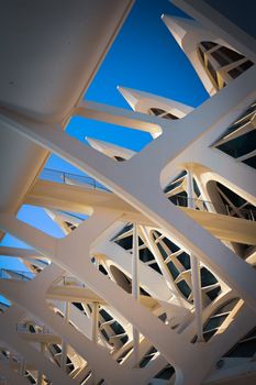 Innovative design elements of Valencia's City of Arts and Sciences under clear sky.