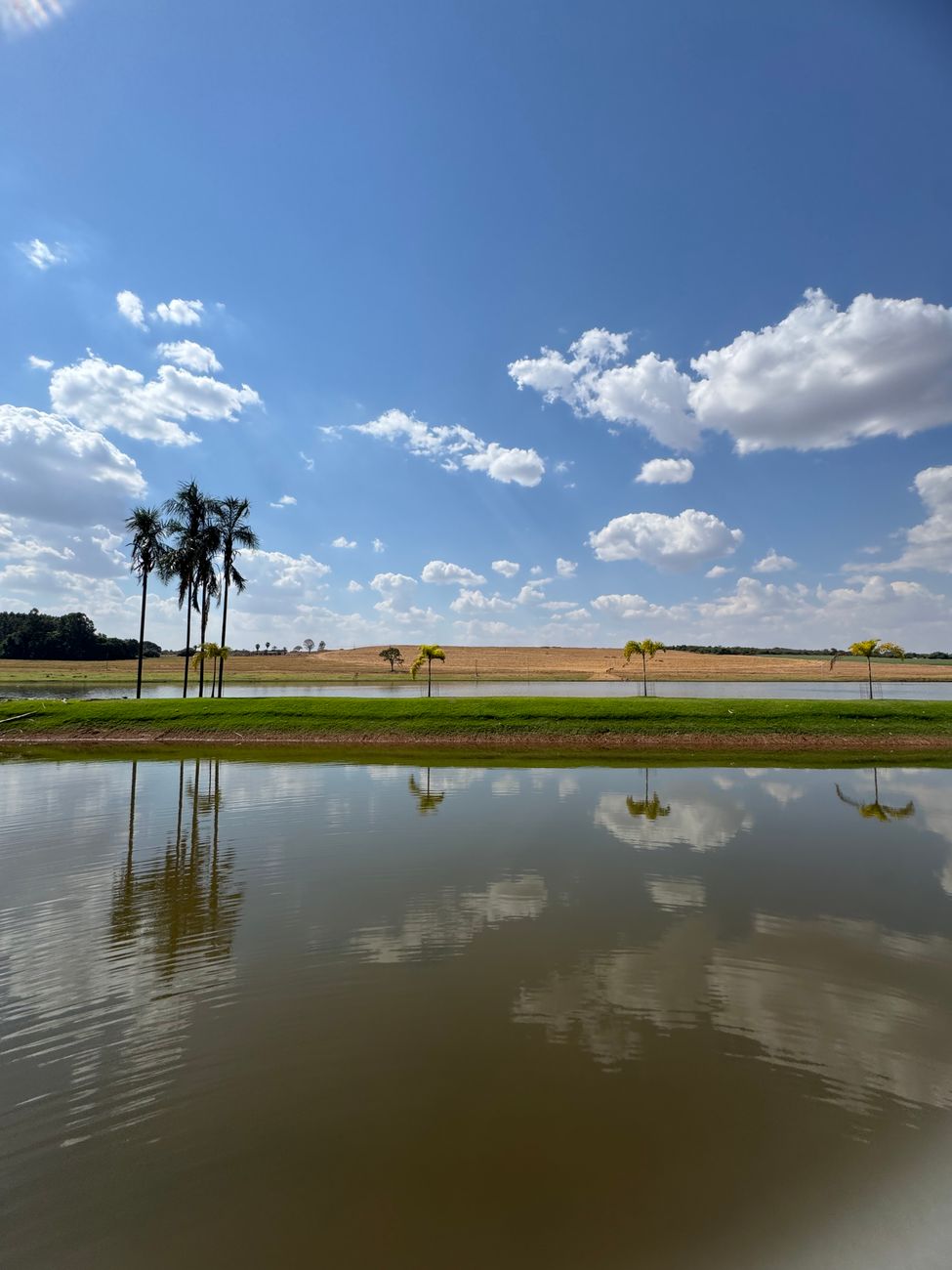 Nova barragem à vista para o Algarve. Custo ronda os 200 milhões de euros