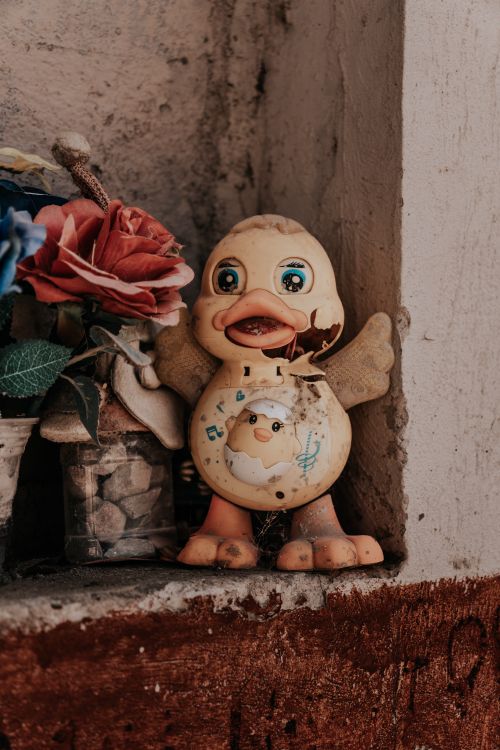 Free A charming vintage toy duck beside colorful artificial flowers, captured in Guanajuato, Mexico. Stock Photo