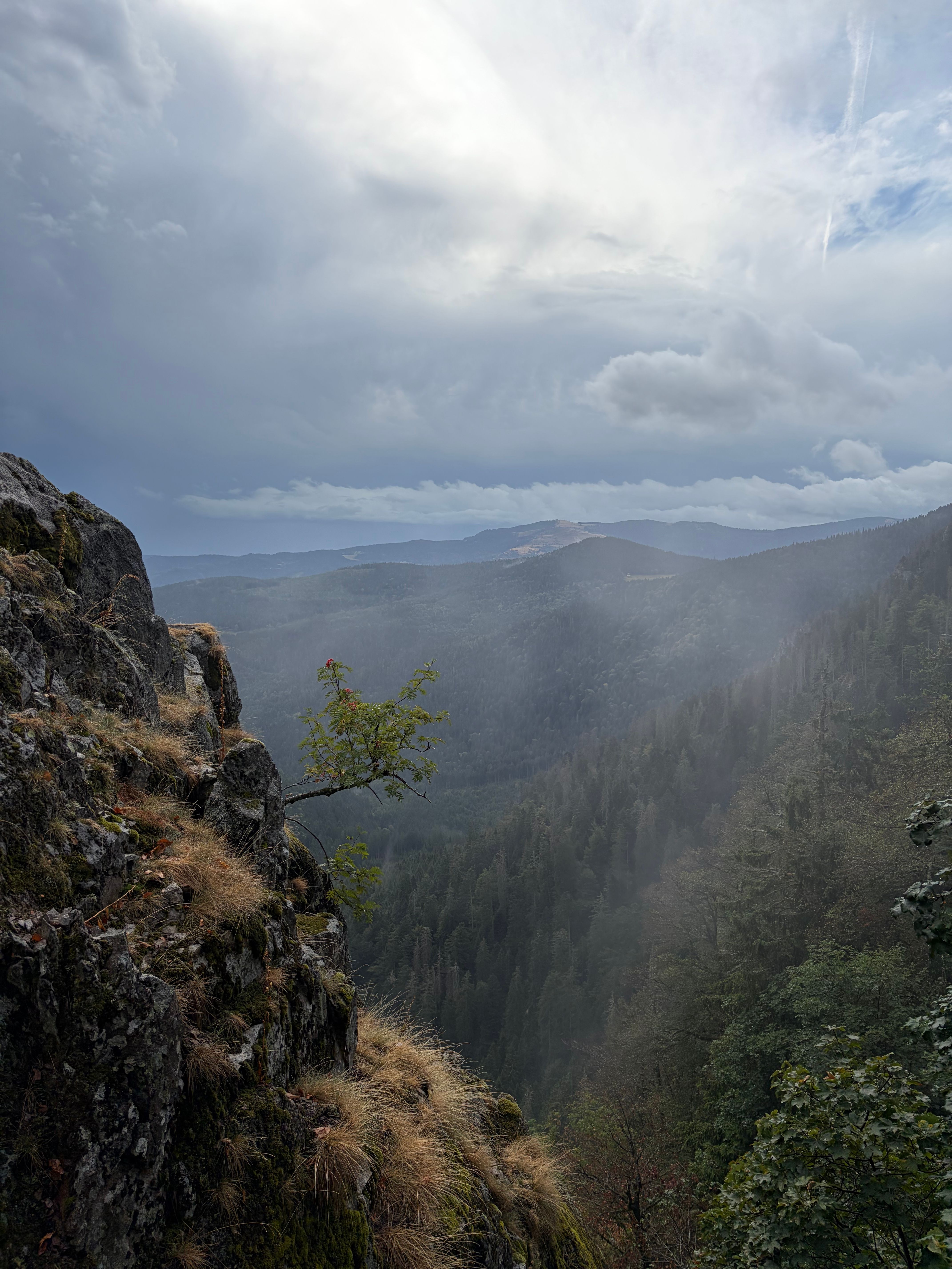 Fotomural Vista panorámica de montañas y acantilados envueltos en niebla en Le Valtin, Francia, durante un día nublado.