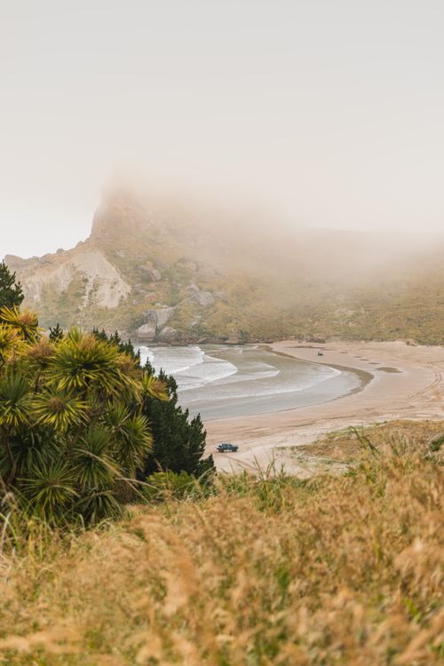 Free Serene view of a foggy beach at Castlepoint, Wellington, with lush vegetation and ocean waves. Stock Photo