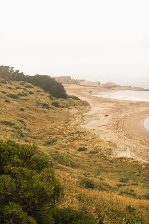 Free Serene view of Castlepoint Beach with fog and coastal landscape in New Zealand. Stock Photo