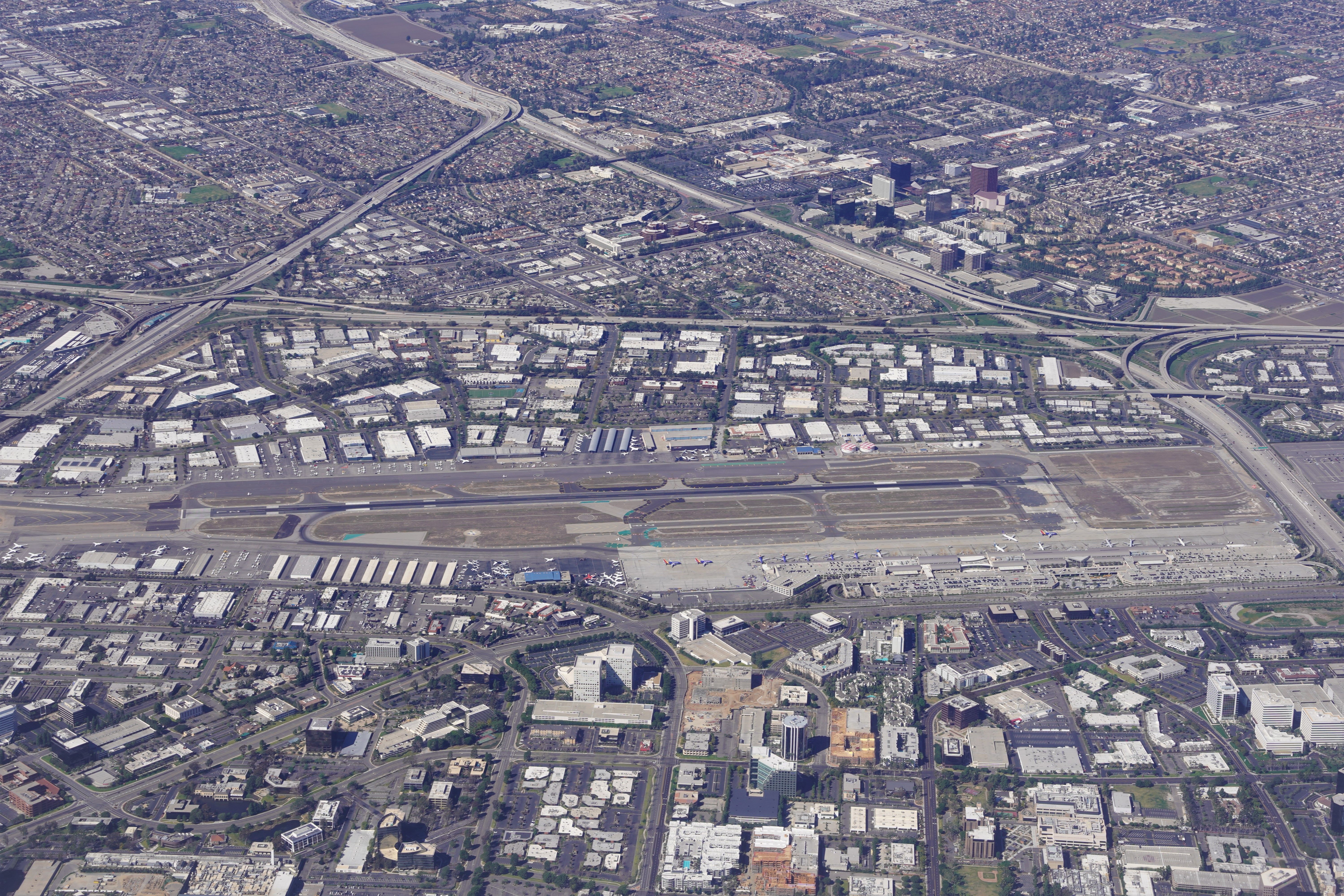 Los Angeles County Flea-Borne Typhus Outbreak 2026: The Ultimate Protection Guide