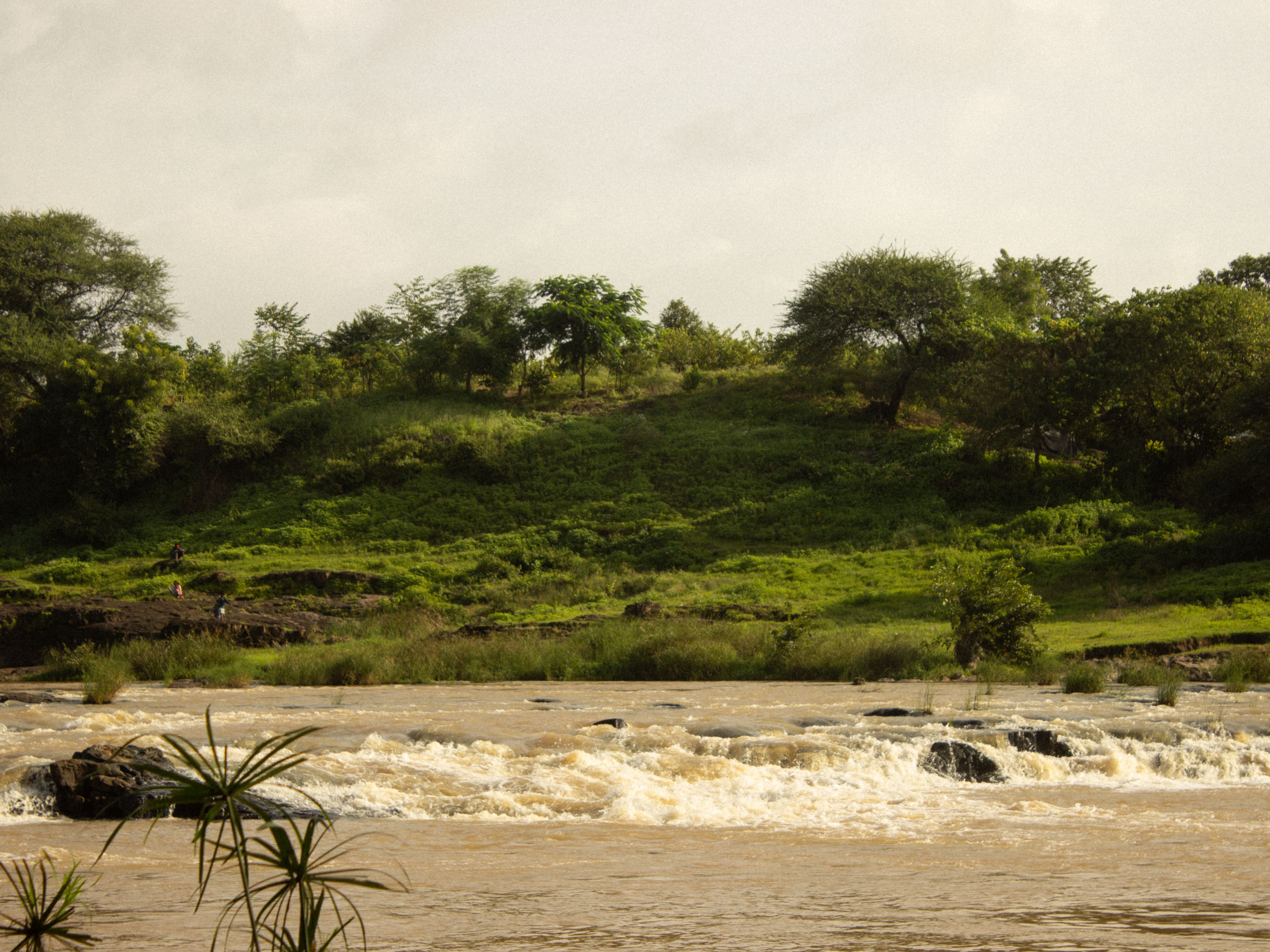 Tranquil river flowing through lush greenery in Nashik, India.