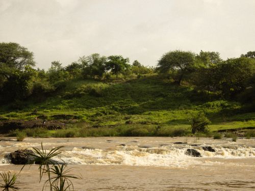 Free Tranquil river flowing through lush greenery in Nashik, India. Stock Photo