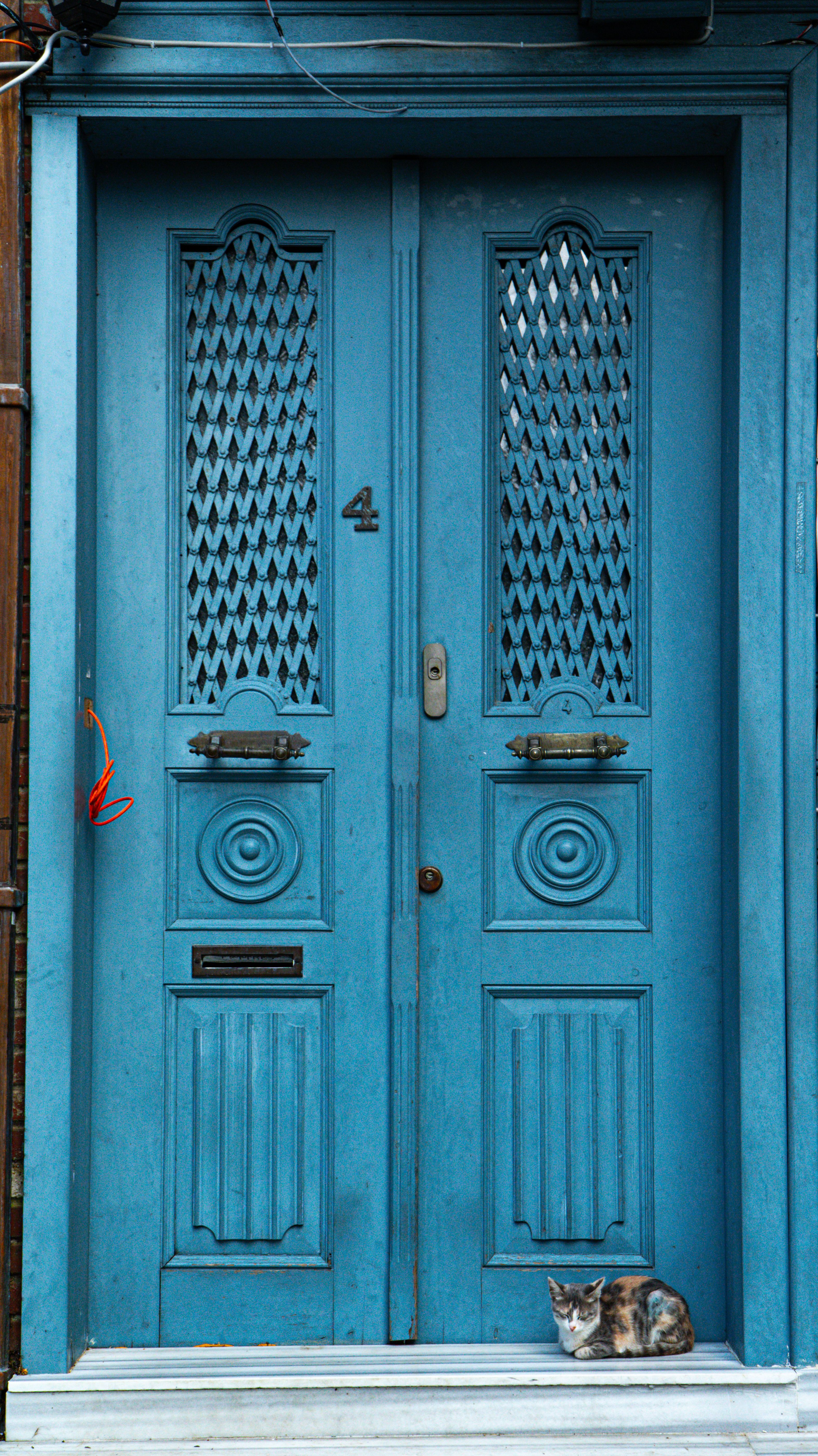 Blue door with intricate design and a cat resting, showcasing Istanbul's charm.