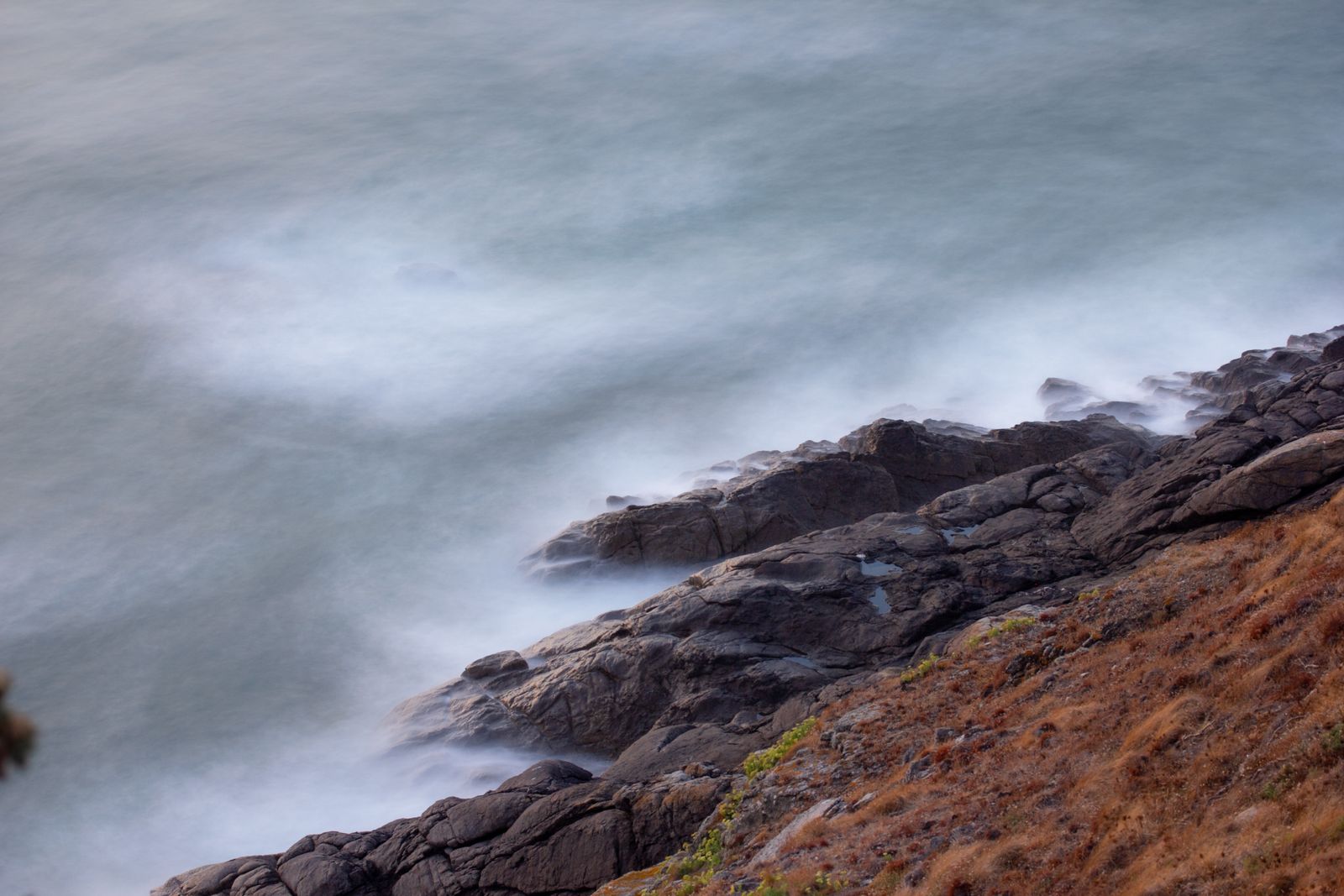 Illustrative coastal field-journal scene — Antoine on Pexels