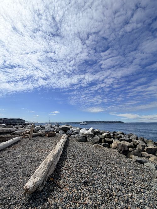 Free A serene view of a pebble beach with driftwood under a vibrant sky in Seattle, Washington. Stock Photo