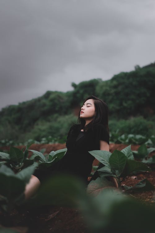 Woman In A Black Dress Near Green Plants