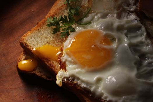 Savory fried egg on crispy toast garnished with fresh parsley, perfect for breakfast.