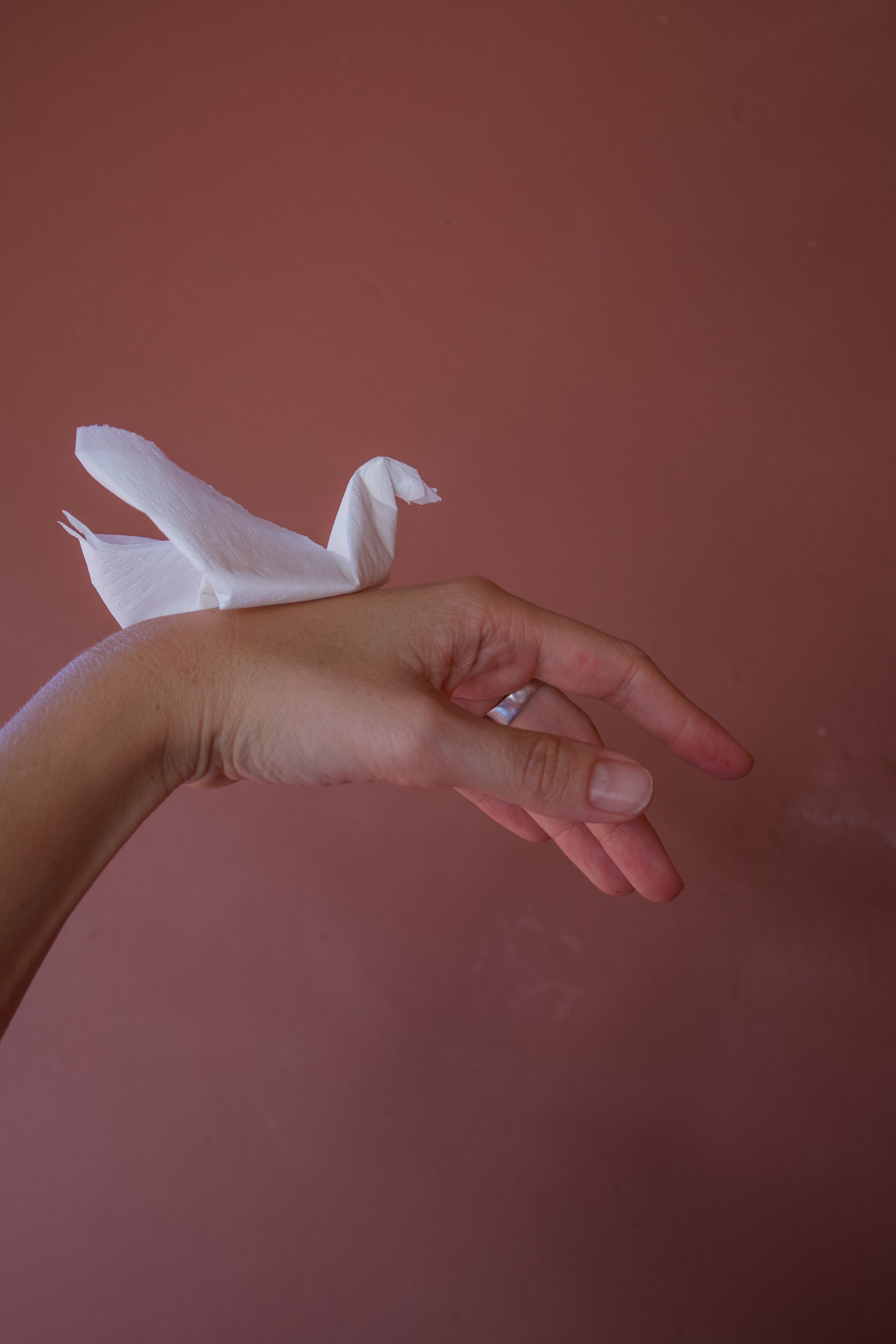 Close-up of a hand holding a white origami crane against a muted pink wall.