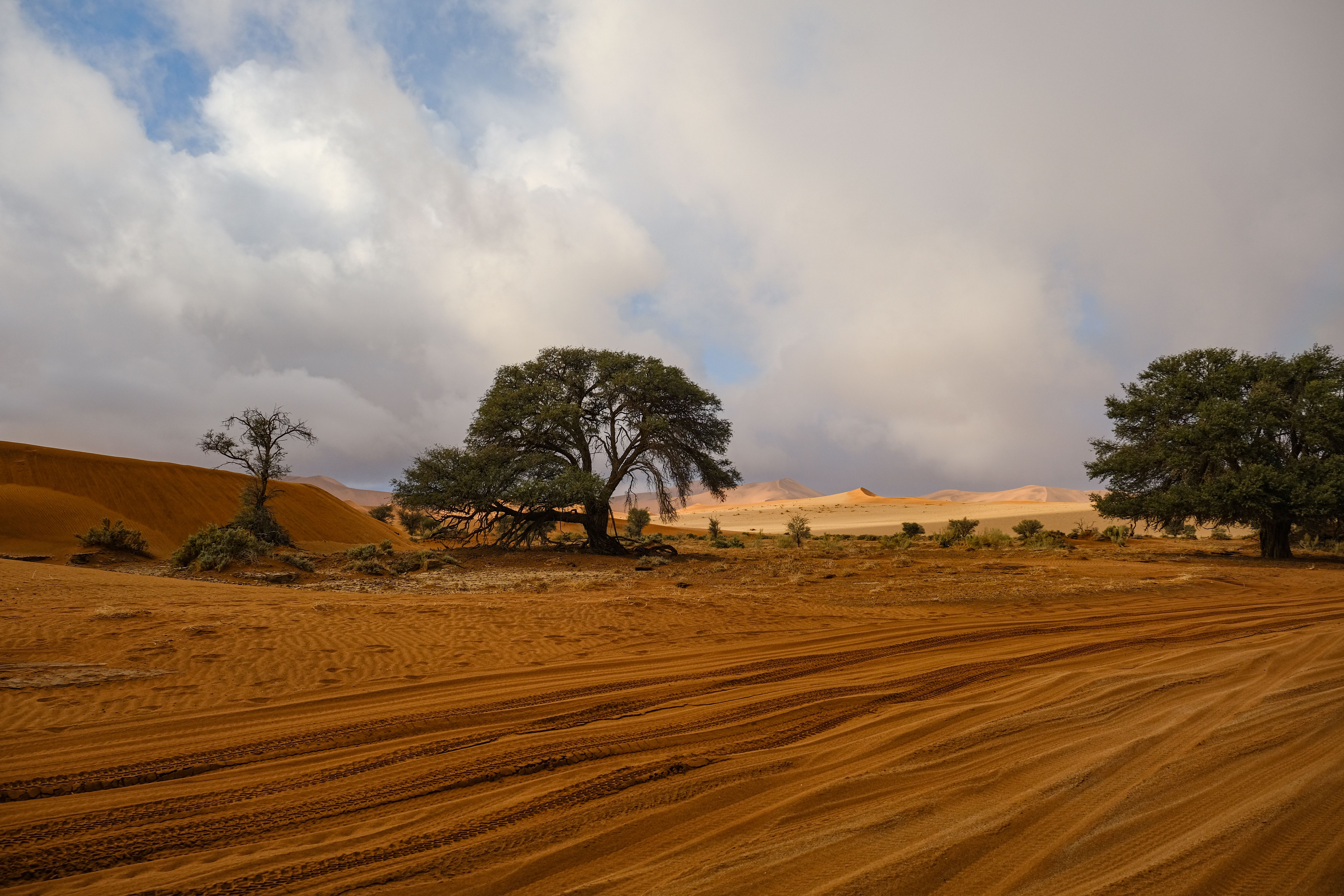 A Loapi Tented Camp at Tswalu Review for 2027