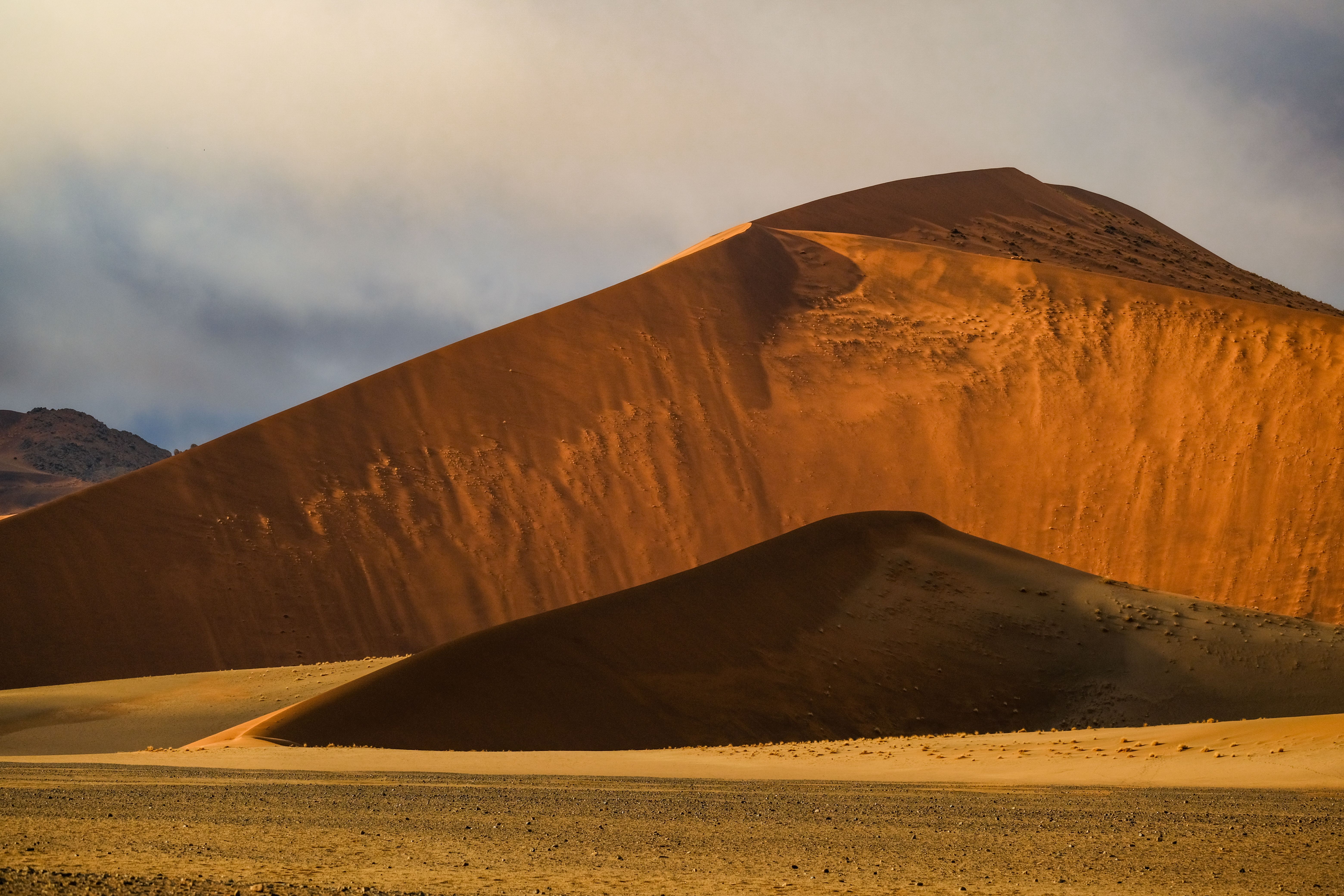 Warm Sunlight Casts Dramatic Shadows On The Towering Sand Dunes Of Sossusvlei, Namibia.