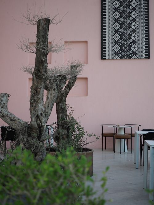 Free Stylish café patio with artistic decor and barren trees in Doha, Qatar. Stock Photo