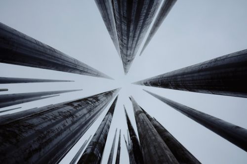Free Abstract view of towering metal pillars reaching into the sky, creating a modern, urban art impression. Stock Photo