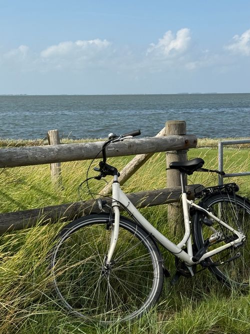 Free A scenic view of a bicycle beside a wooden fence overlooking the serene North Sea. Stock Photo