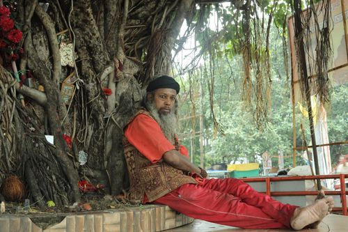 Free A man in traditional attire rests under a banyan tree in Raipur, India capturing a serene moment. Stock Photo
