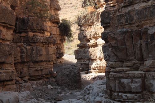 Free Explore the sunlit rocky canyon showcasing dramatic geological formations under a clear sky. Stock Photo