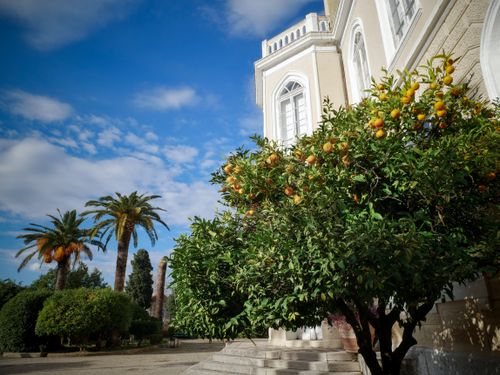 Free Elegant Mediterranean garden scene featuring orange trees and palm trees against clear blue sky. Stock Photo