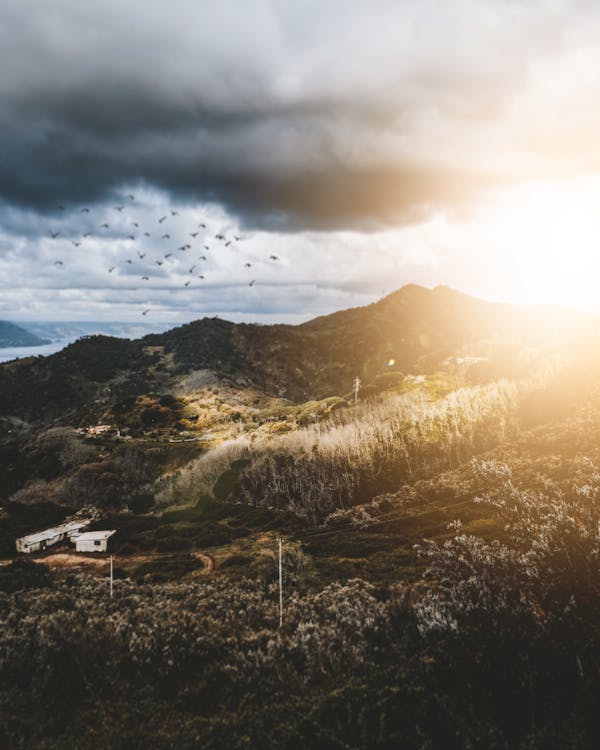 Δωρεάν στοκ φωτογραφιών με highlands, αυγή, βουνό