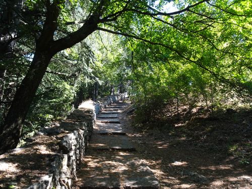 Free Peaceful forest path in San Marino with dappled sunlight and stone walls, perfect for nature walks. Stock Photo