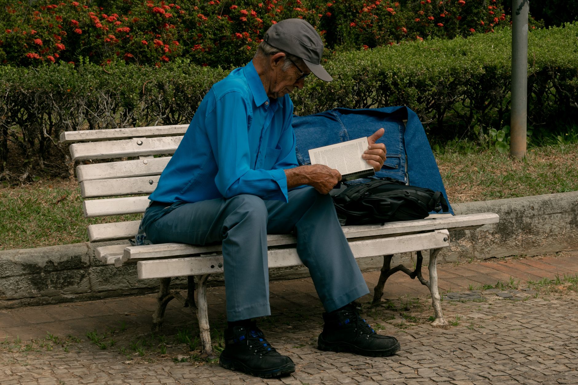Elderly man sitting on a park bench reading a book in a peaceful outdoor setting.
