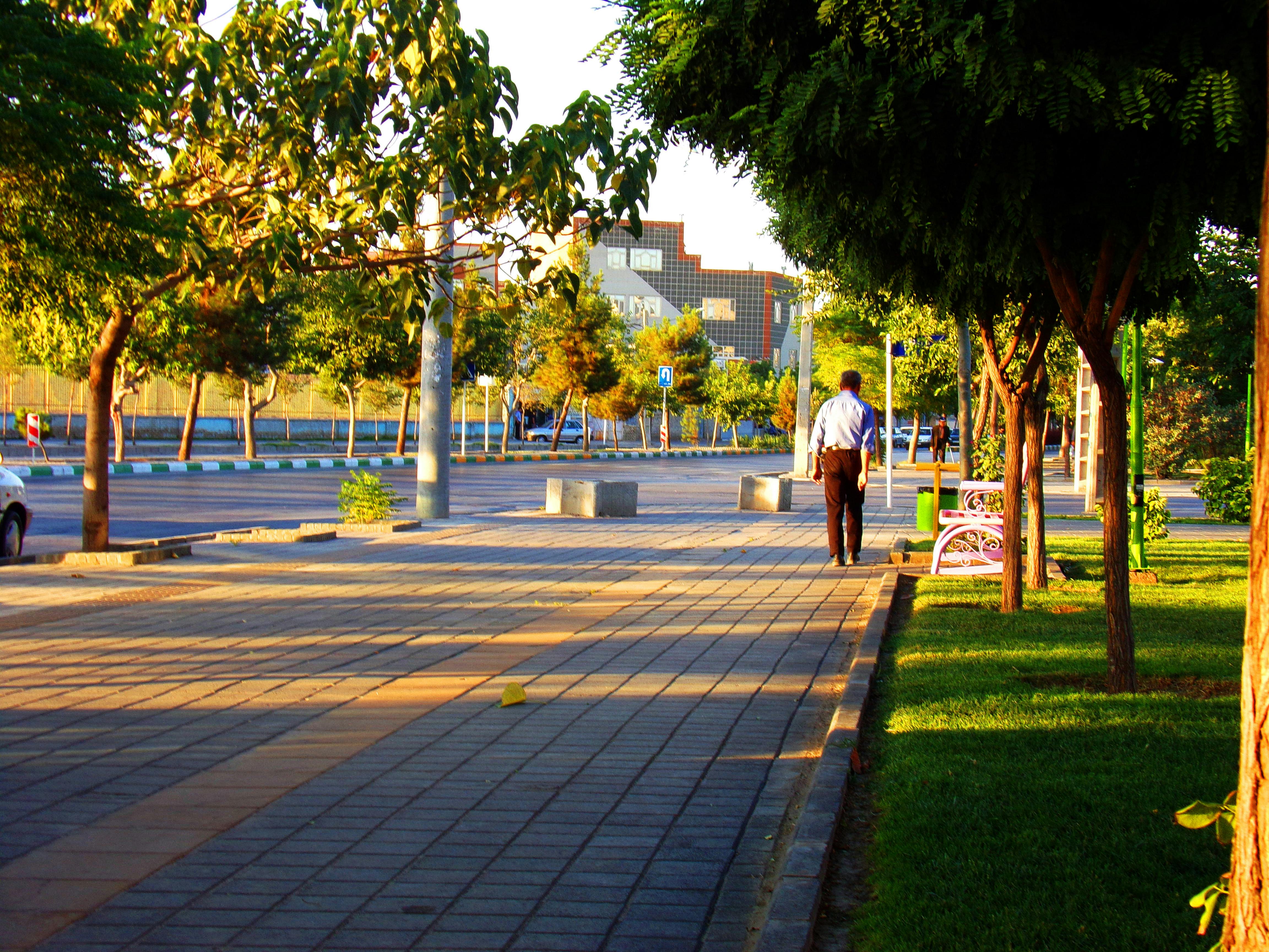 一个干净整洁的极简主义客厅，只有少量精心挑选的家具和装饰品