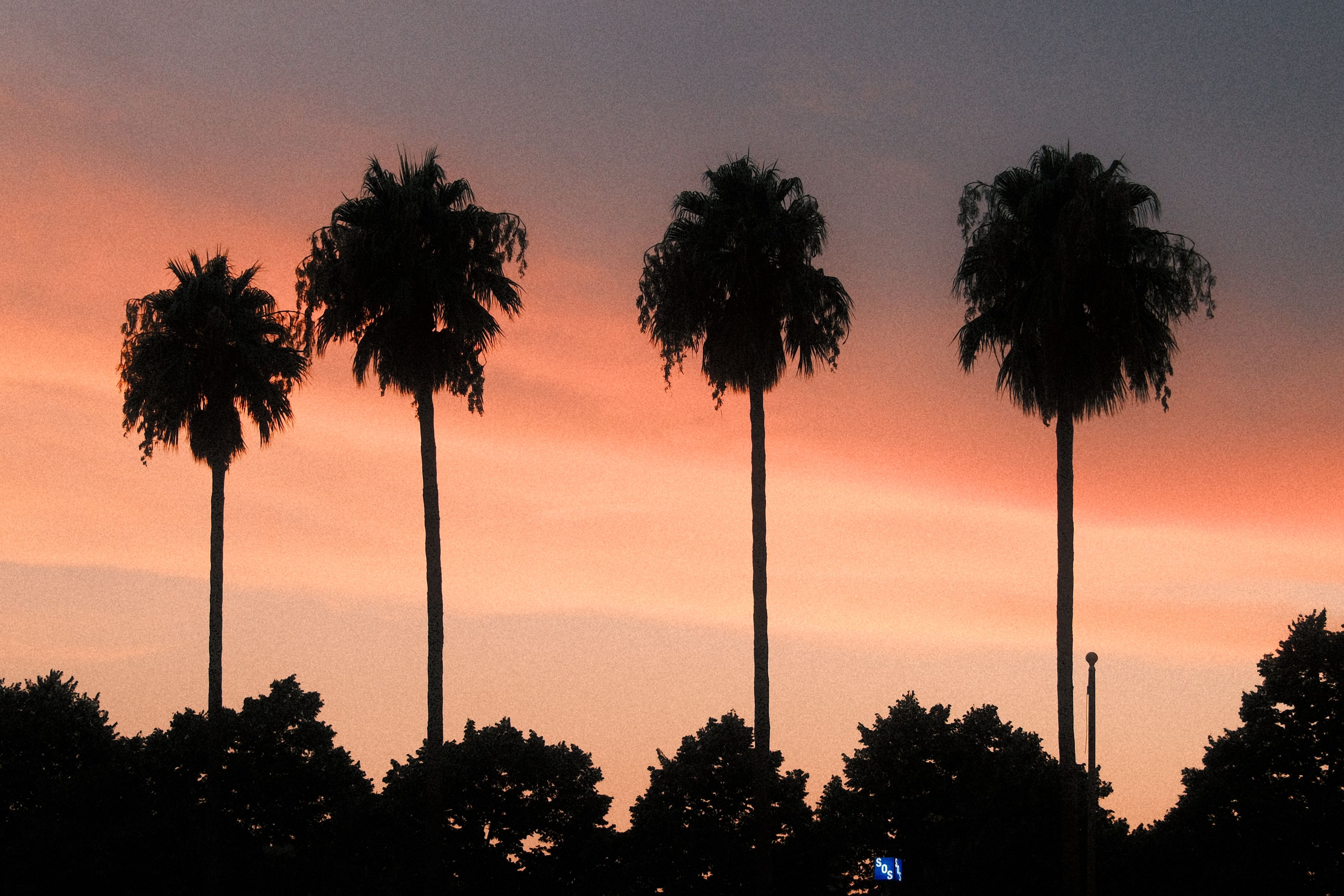 How to Read a Florida Bill Before Forming an Opinion About It