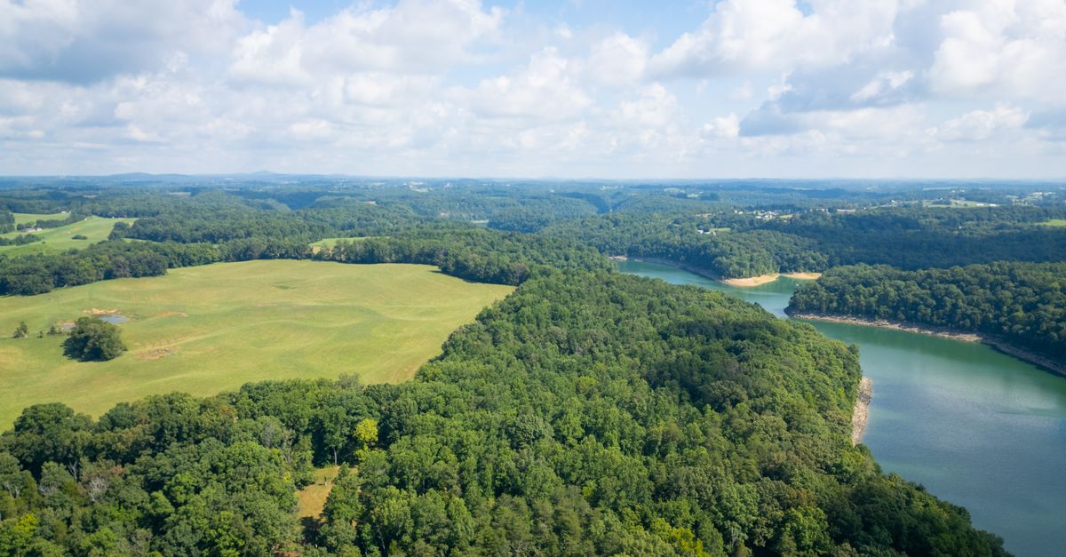 Expansive aerial photo of lush forest and winding river under a bright sky.