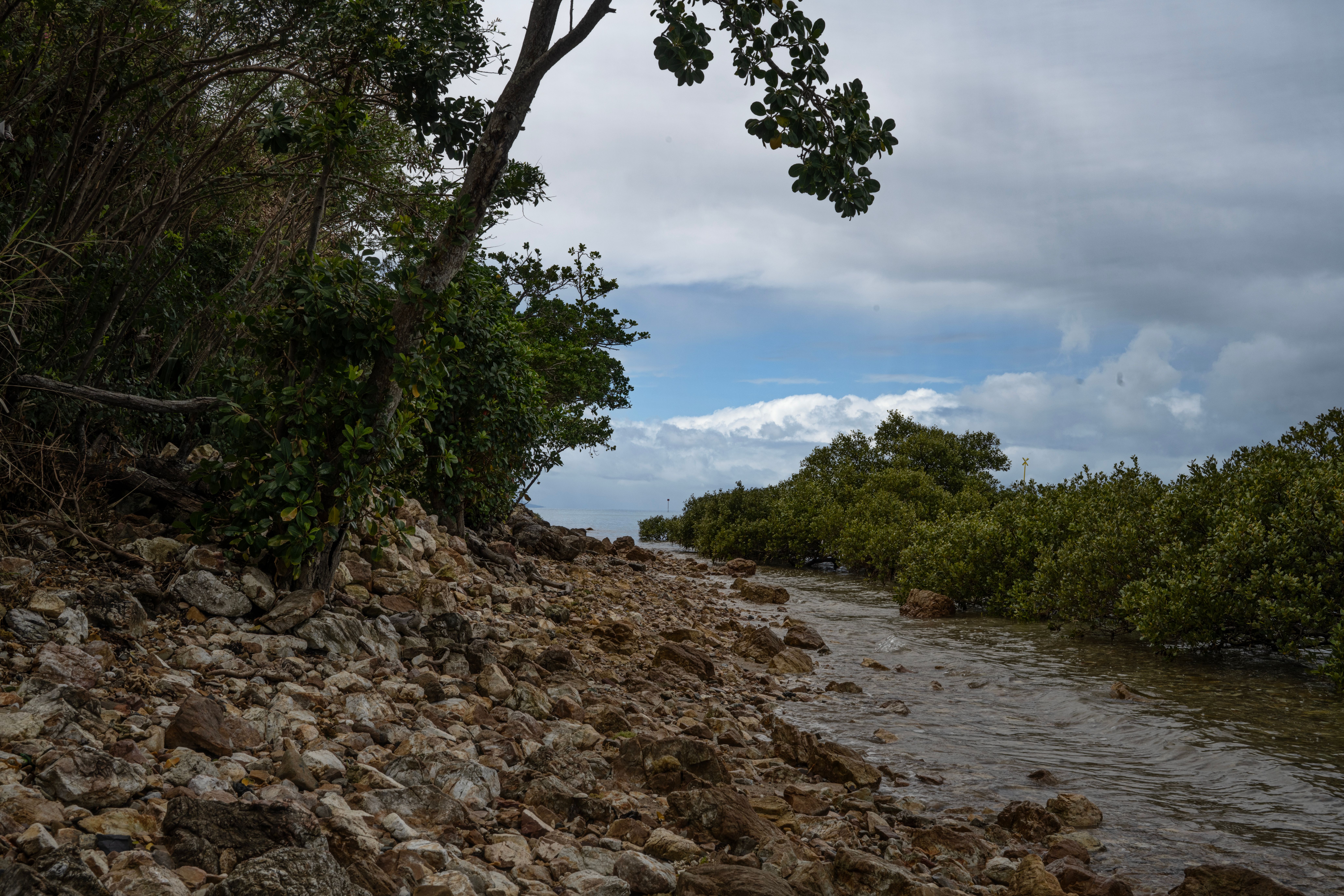 Hallan ataúd abandonado en el manglar frente a Imí 2, en Carmen