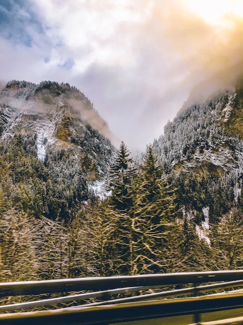 Arbres Verts Sur La Montagne Sous Un Ciel Nuageux