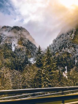 多云的天空下，雾霭缭绕着针叶林，映衬出美丽的雪山景观