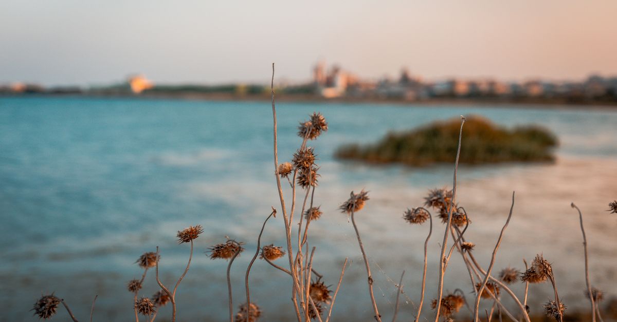 Turks & Caicos Islands travel destination
