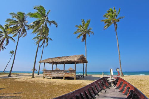 Free Red Boat Facing Palm Trees Near the Seashore Stock Photo