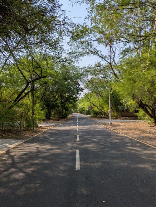 Free Serene view of an empty road surrounded by lush trees under a clear sky, creating a peaceful ambience. Stock Photo