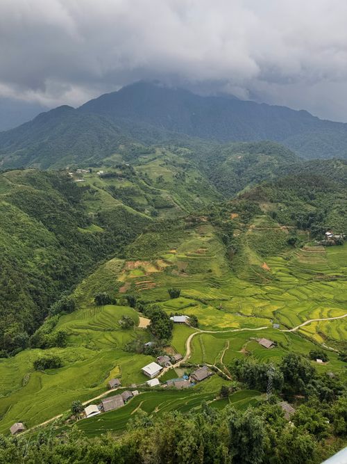 Free Scenic view of verdant rice terraces with overcast skies and mountainous backdrop. Stock Photo