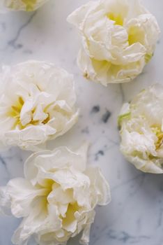 Beautiful white blossoms elegantly arranged on a marble background, exuding simplicity and grace.