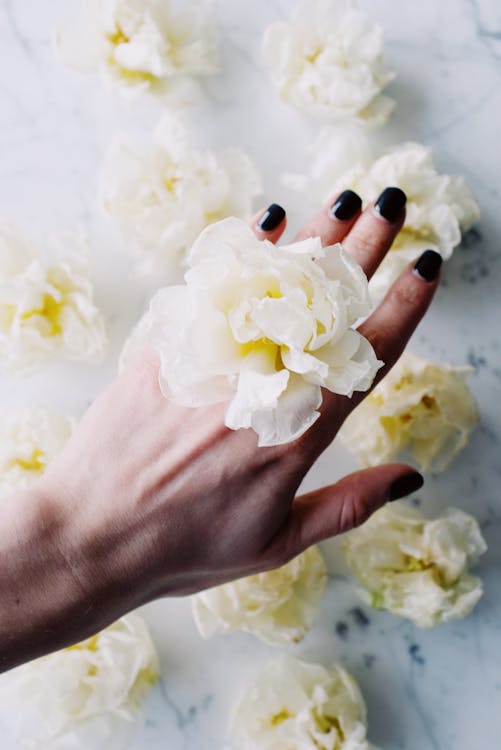 Free Flower On A Person's Hand Stock Photo
